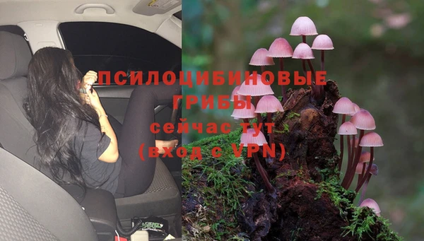 прущая мука Абинск
